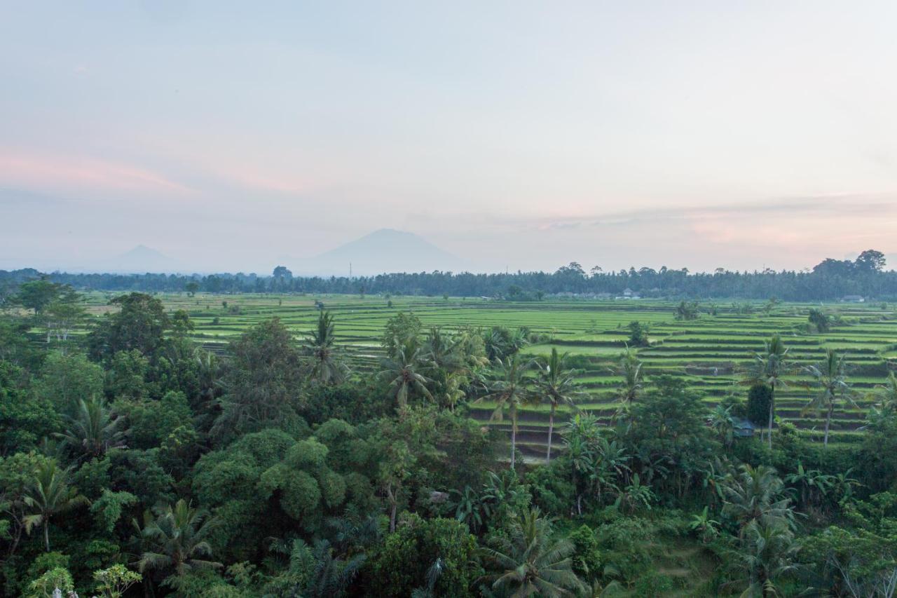 Seres Springs Resort & Spa, Singakerta Ubud Kültér fotó